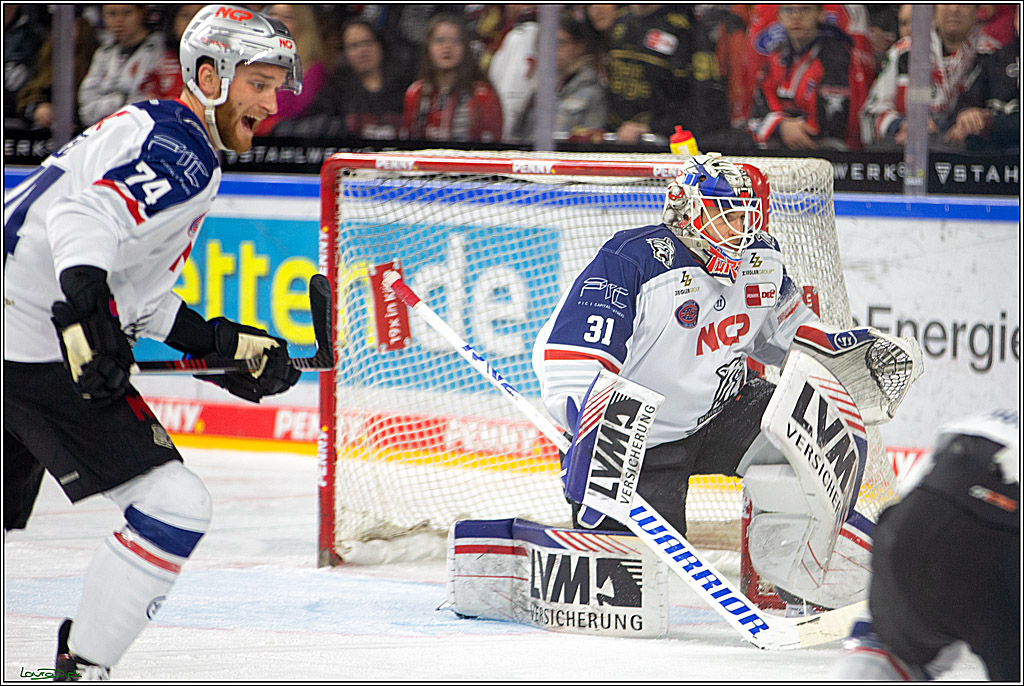 PENNY DEL; Koelner Haie- Nuernberger Ice Tigers; Koeln, 29.01.2023